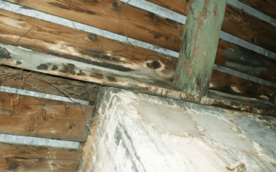 Can Loft Boarding Cause Dampness?